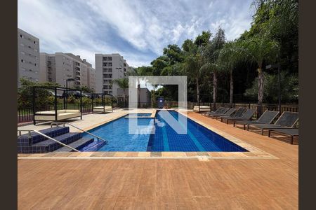 Área comum - Piscina de apartamento para alugar com 2 quartos, 51m² em Jardim Manoel Penna, Ribeirão Preto
