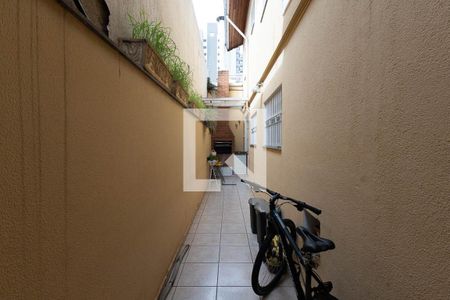 Quintal / Churrasqueira de casa à venda com 3 quartos, 150m² em Vila Maria Baixa, São Paulo