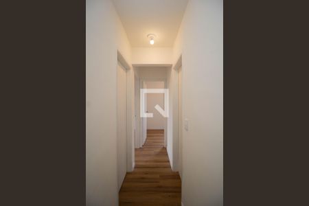 Corredor de apartamento para alugar com 3 quartos, 74m² em Piqueri, São Paulo