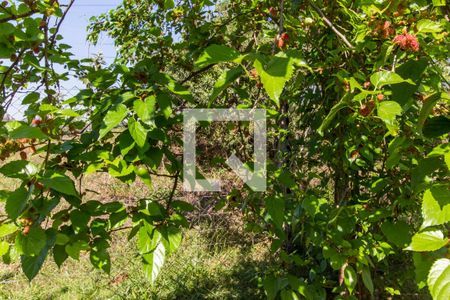 Área comum de apartamento à venda com 2 quartos, 82m² em Tamboré, Santana de Parnaíba