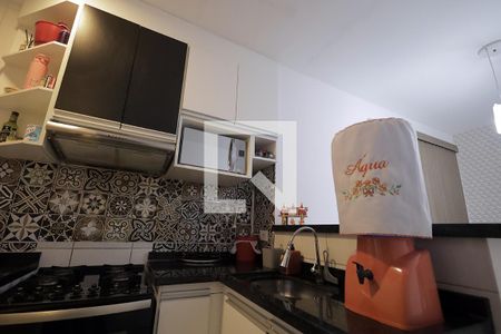 Cozinha de apartamento à venda com 2 quartos, 47m² em Vila Tibiriçá, Santo André