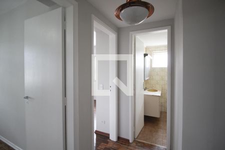 Corredor de apartamento para alugar com 1 quarto, 87m² em Indianópolis, São Paulo