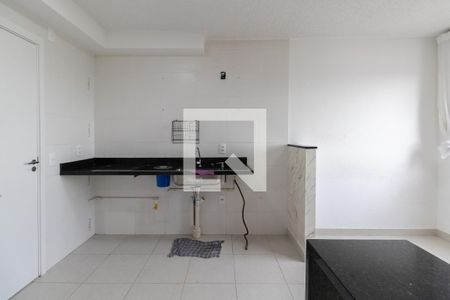 Cozinha e Área de Serviço de apartamento para alugar com 2 quartos, 32m² em Fazenda Aricanduva, São Paulo