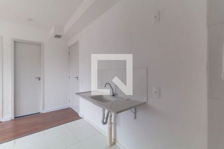 Cozinha de apartamento para alugar com 2 quartos, 32m² em Quinta da Paineira, São Paulo