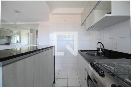 Cozinha - Armários de apartamento à venda com 2 quartos, 46m² em Jardim Umarizal, São Paulo