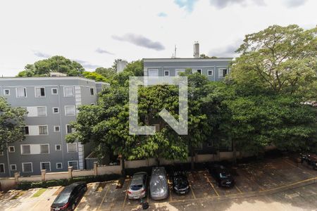 Vista da Sala de apartamento para alugar com 2 quartos, 40m² em Colônia (zona Leste), São Paulo