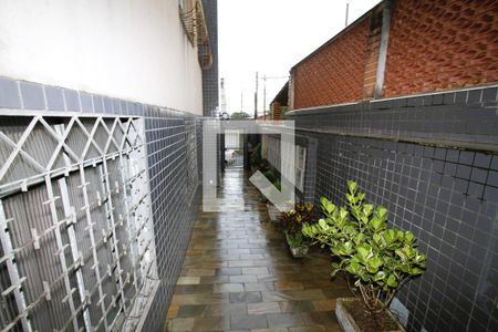 Apartamento à venda com 3 quartos, 110m² em João Pinheiro, Belo Horizonte