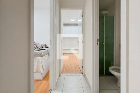 Corredor de apartamento para alugar com 2 quartos, 37m² em Cambuci, São Paulo