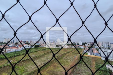 Varanda da Sala - vista de apartamento para alugar com 3 quartos, 64m² em Nova Petrópolis, São Bernardo do Campo