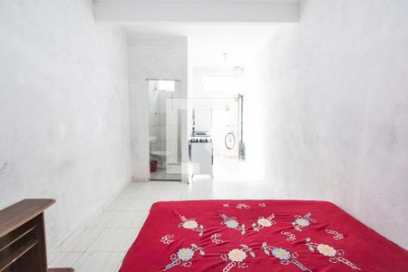 Sala e Quarto de kitnet/studio para alugar com 1 quarto, 24m² em Laranjeiras, Uberlândia