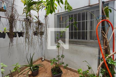 Área de Luz de casa à venda com 4 quartos, 265m² em Parque Jambeiro, Campinas