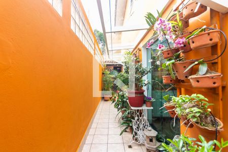 Quintal de casa à venda com 3 quartos, 162m² em Jaguaribe, Osasco
