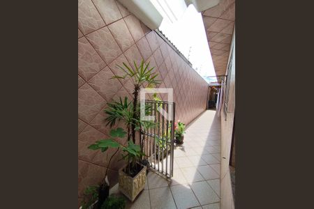 Quintal  de casa à venda com 2 quartos, 200m² em São João Climaco, São Paulo