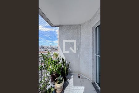 Varanda da Sala de apartamento à venda com 2 quartos, 56m² em Catumbi, São Paulo