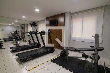 Área Comum - Academia de apartamento para alugar com 2 quartos, 56m² em Jardim Rosolem, Hortolândia