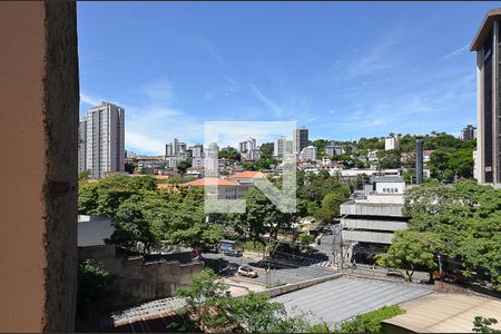 Vista de apartamento à venda com 3 quartos, 108m² em Santo Antônio, Belo Horizonte