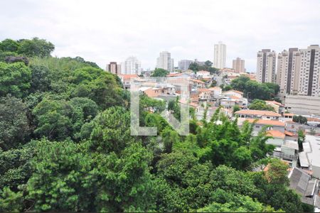 Detalhe - Vista da Sala de apartamento para alugar com 2 quartos, 35m² em Vila Barreto, São Paulo