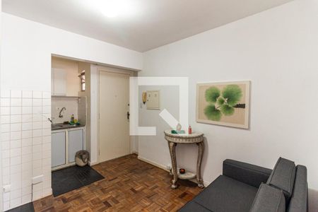 Sala de apartamento para alugar com 1 quarto, 30m² em Campos Elíseos, São Paulo