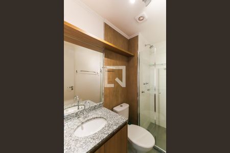 Banheiro Social de apartamento para alugar com 1 quarto, 30m² em Belenzinho, São Paulo