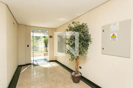 Hall Social  de apartamento à venda com 3 quartos, 79m² em Vila Carmosina, São Paulo