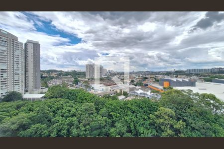 Vista de apartamento para alugar com 3 quartos, 133m² em Vila Anastácio, São Paulo