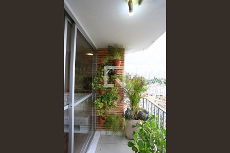 Varanda da Sala de apartamento à venda com 3 quartos, 90m² em Vila Sonia, São Paulo