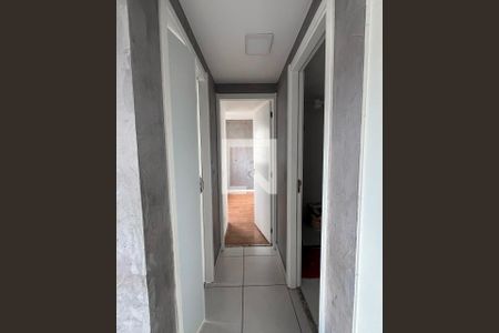 Corredor de apartamento para alugar com 2 quartos, 35m² em Sacoma, São Paulo