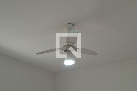 Sala de casa para alugar com 2 quartos, 132m² em Maracanã, Praia Grande