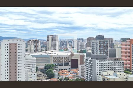 Vista de apartamento para alugar com 1 quarto, 29m² em Pompeia, São Paulo