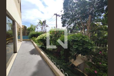 Área comum de apartamento para alugar com 2 quartos, 66m² em Jardim da Saúde, São Paulo