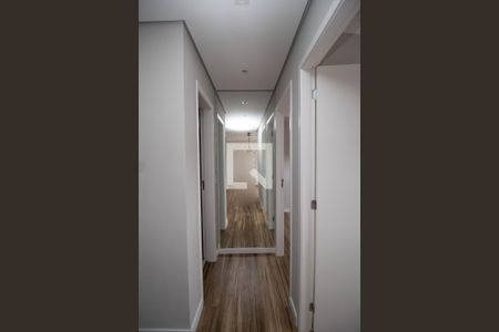 Corredor de apartamento para alugar com 2 quartos, 40m² em Vila Pirituba, São Paulo