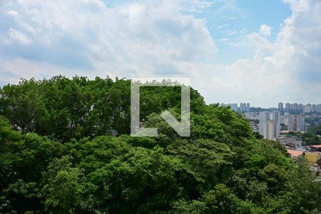 Vista de apartamento para alugar com 2 quartos, 54m² em Jardim Monte Kemel, São Paulo