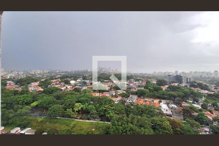 Vista de apartamento para alugar com 1 quarto, 47m² em Vila Anastácio, São Paulo
