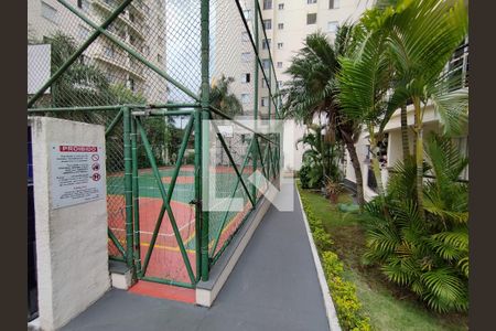 Quadra Esportiva de apartamento para alugar com 3 quartos, 67m² em Jardim Vergueiro (sacoma), São Paulo