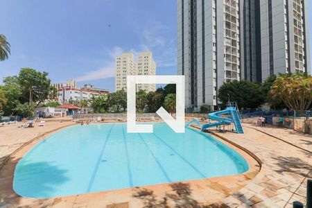 Área comum - Piscina de apartamento para alugar com 2 quartos, 55m² em Jardim Jussara, São Paulo