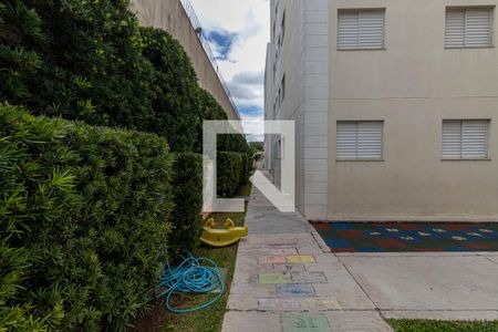 Área Comum de apartamento para alugar com 3 quartos, 56m² em Vila Taquari, São Paulo
