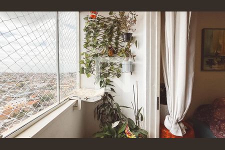 Varanda da Sala de apartamento para alugar com 2 quartos, 54m² em Casa Verde Alta, São Paulo