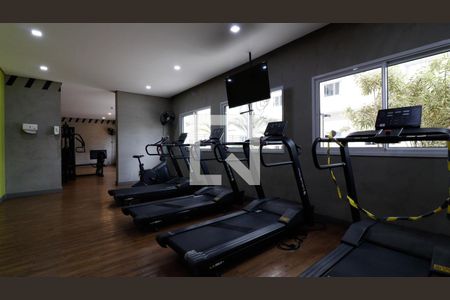 Área comum - Academia de apartamento à venda com 2 quartos, 34m² em Vila Pierina, São Paulo