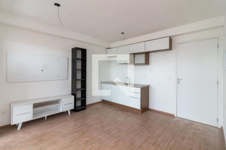 Sala e Cozinha de apartamento para alugar com 1 quarto, 30m² em Parada Inglesa, São Paulo