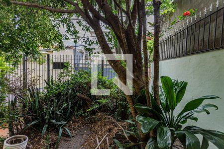 Vista sala de casa à venda com 3 quartos, 150m² em Vila Bonilha, São Paulo
