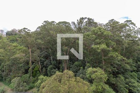 Vista da Varanda de apartamento à venda com 2 quartos, 60m² em Jardim das Vertentes, São Paulo