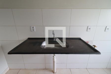 Cozinha de apartamento para alugar com 2 quartos, 43m² em Jardim Heitor Rigon, Ribeirão Preto