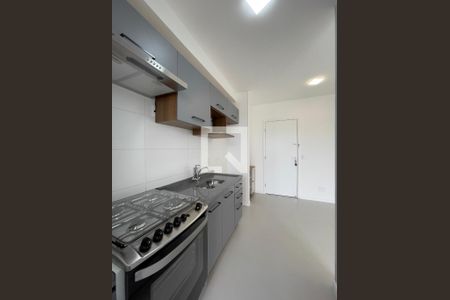 Cozinha e Área de Serviço de apartamento para alugar com 2 quartos, 44m² em Jardim Maringa, São Paulo