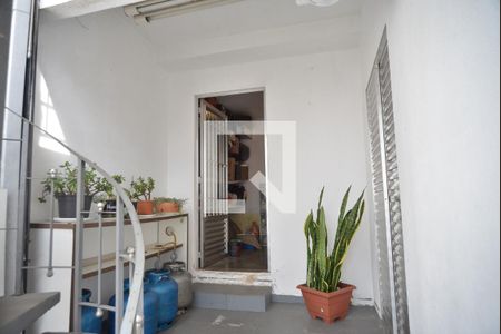 Quintal de casa à venda com 6 quartos, 278m² em Parque das Nações, Santo André