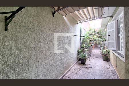 Detalhe de casa para alugar com 2 quartos, 132m² em Vila Romana, São Paulo