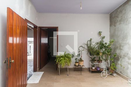Quintal de casa para alugar com 3 quartos, 175m² em Vila Oliveira, Mogi das Cruzes