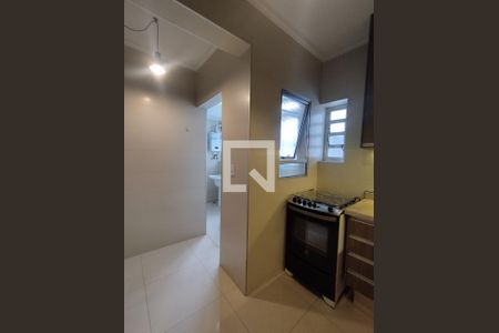 Cozinha - Armários de apartamento para alugar com 2 quartos, 64m² em Aclimação, São Paulo
