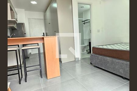 Sala/Quarto de kitnet/studio para alugar com 1 quarto, 26m² em Jardim das Acacias, São Paulo