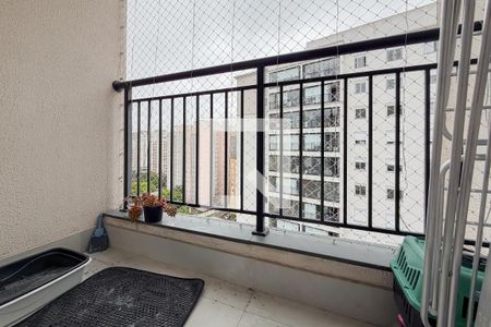 Varanda da Sala de apartamento à venda com 2 quartos, 50m² em Cambuci, São Paulo