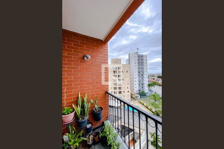 Varanda da Sala de apartamento à venda com 3 quartos, 74m² em Vila Formosa, São Paulo